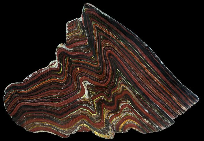 Polished Tiger Iron Stromatolite - ( Billion Years) #65358